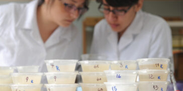 foto_0000000220150609234935