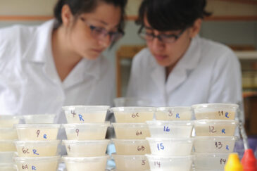 foto_0000000220150609234935