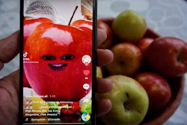 tiktok_academico_alimentos_pucv_1