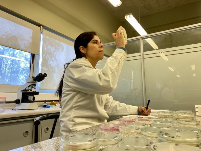 doctorado_en_ciencias_agroalimentarias