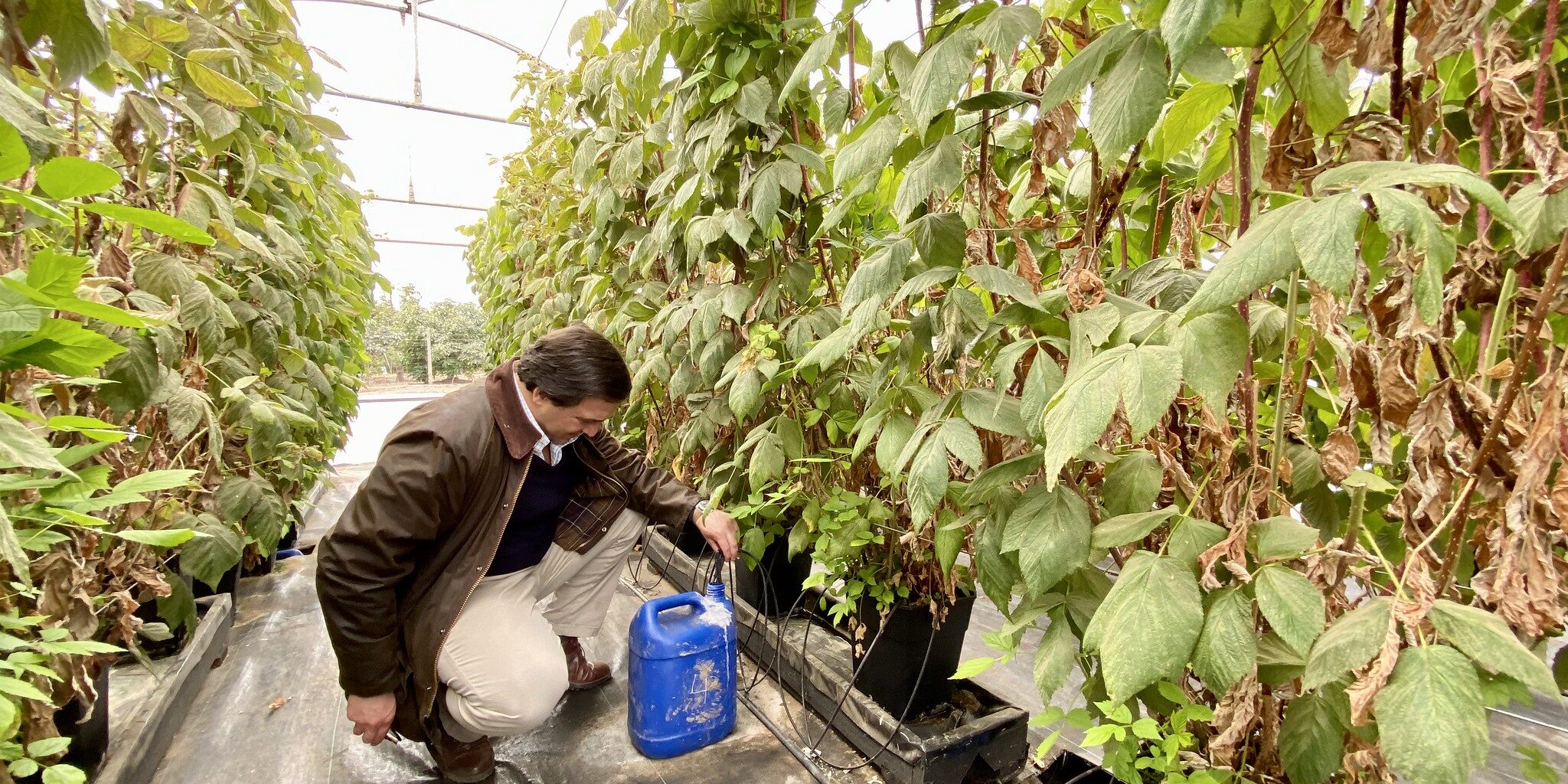 dia_mundial_del_agua_doctorado_en_ciencias_agroalimentarias_pucv