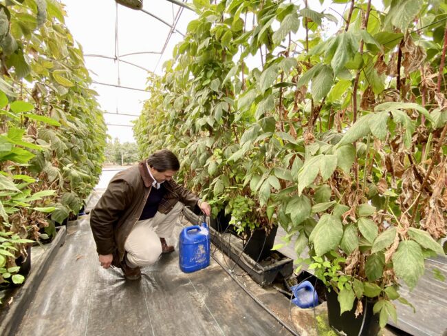 dia_mundial_del_agua_doctorado_en_ciencias_agroalimentarias_pucv