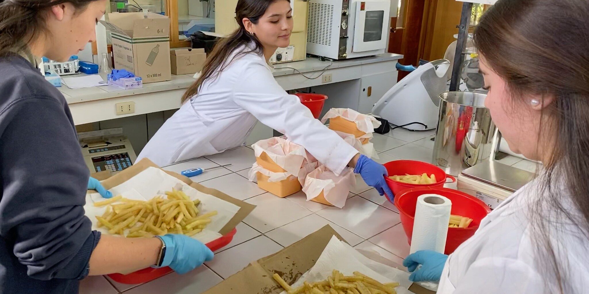 papas_fritas_saludables