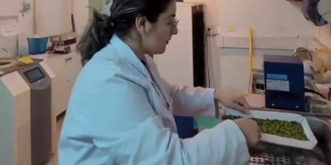 vlcsnap-2026-01-29-18h12m08s728